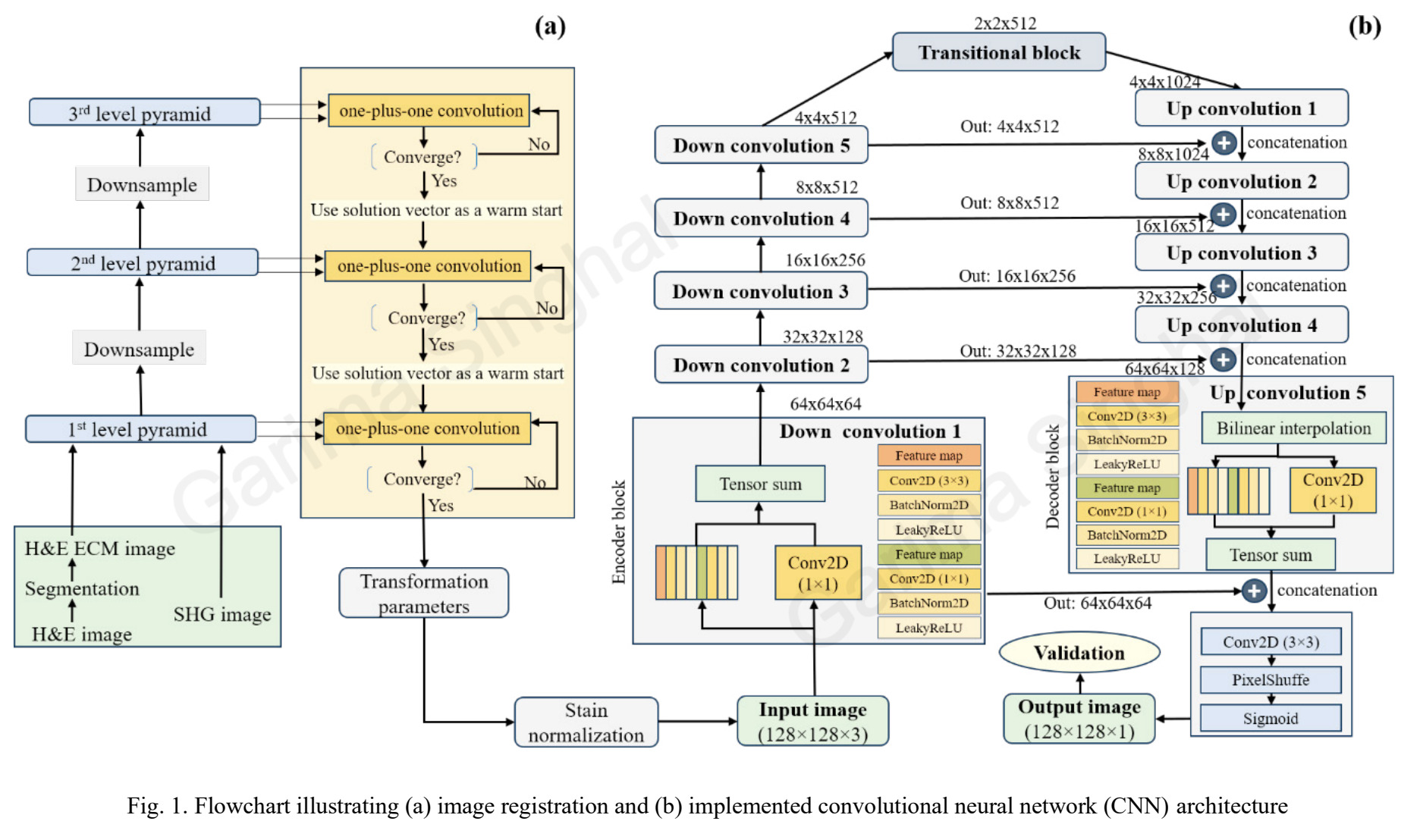 Stromal collagen cross-modality CNN figure