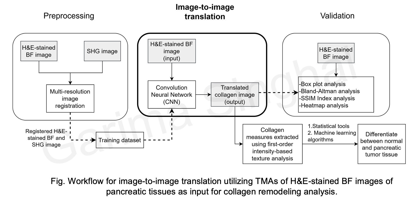 Pancreatic tumor cross-modality translation figure