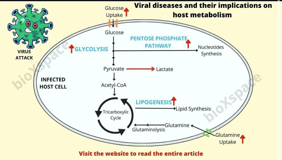 Viral diseases science article