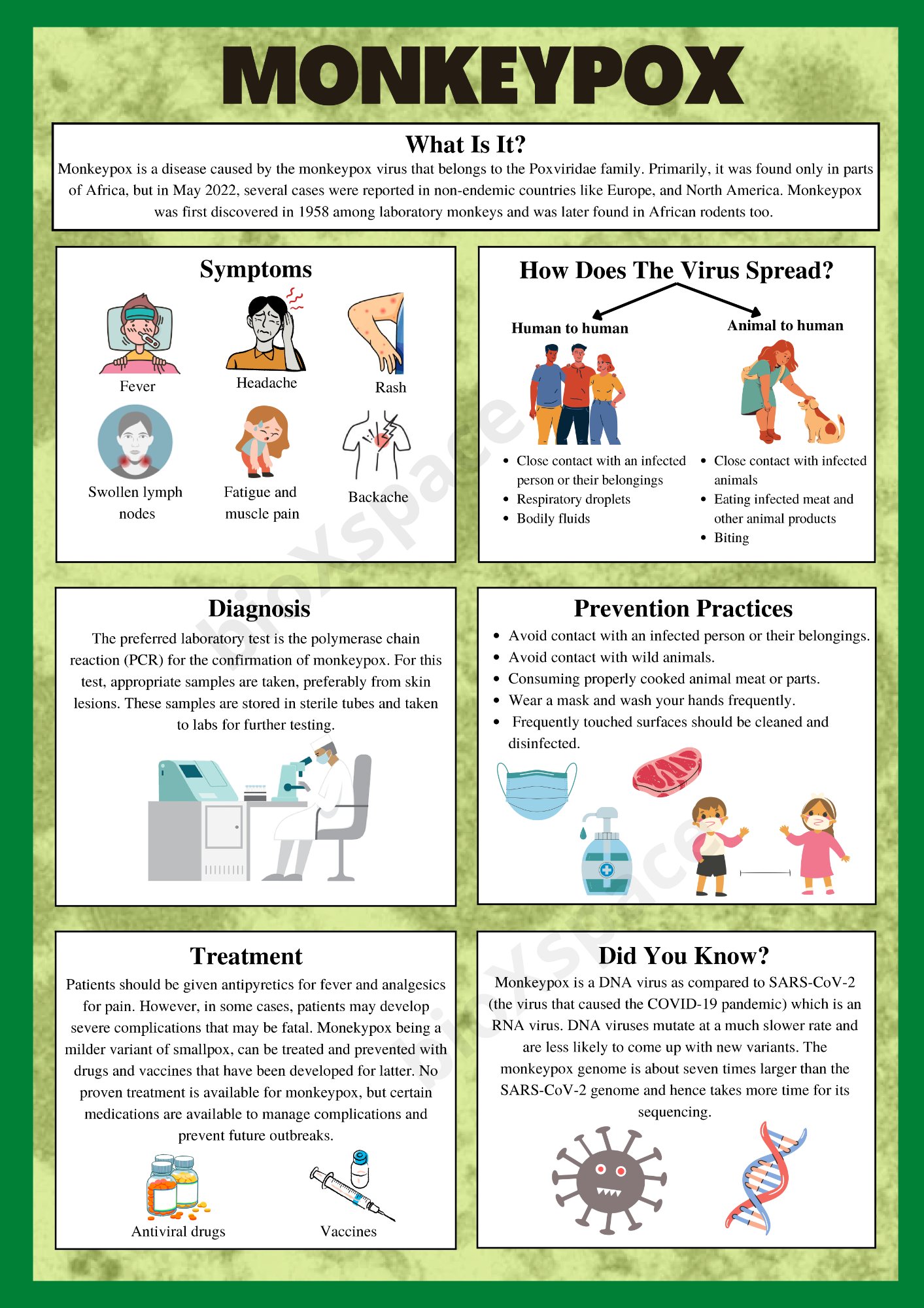 Monkeypox science infographic